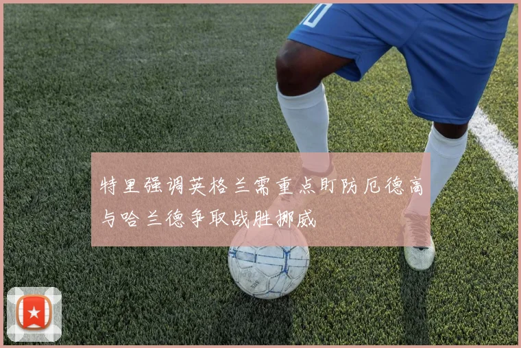 特里强调英格兰需重点盯防厄德高与哈兰德争取战胜挪威